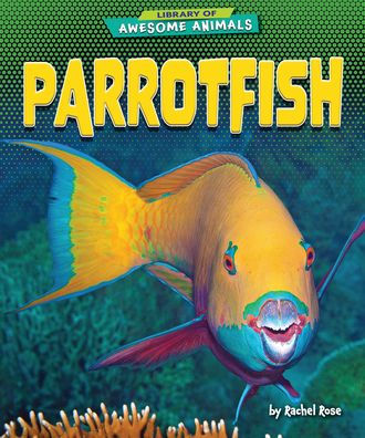 Parrotfish