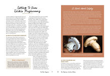 Alternative view 5 of The Mushroom Hunter's Kitchen: A Culinary Homage to Wild and Cultivated Mushrooms - with 120 Recipes
