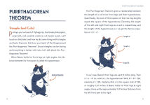 Alternative view 2 of Math Cats: Scratching the Surface of Mathematical Concepts