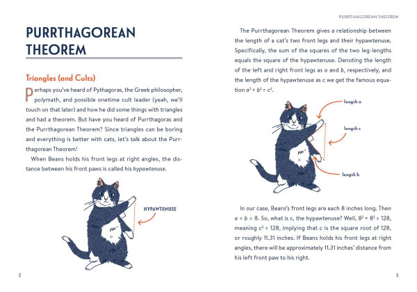 Math Cats: Scratching the Surface of Mathematical Concepts