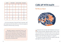 Alternative view 4 of Math Cats: Scratching the Surface of Mathematical Concepts
