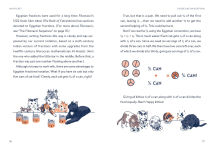 Alternative view 6 of Math Cats: Scratching the Surface of Mathematical Concepts