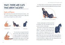 Alternative view 7 of Math Cats: Scratching the Surface of Mathematical Concepts