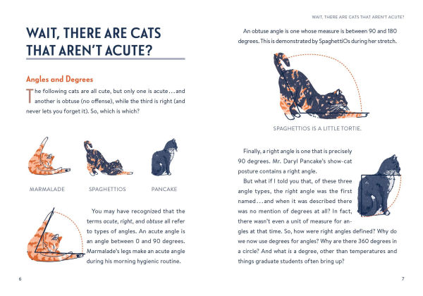 Math Cats: Scratching the Surface of Mathematical Concepts