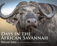 Title: Days in the African Savannah, Author: Bikram Saha