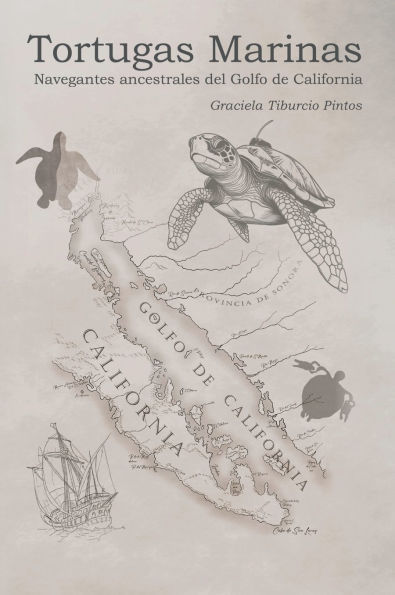 Tortugas marinas: Navegantes ancestrales del golfo de California