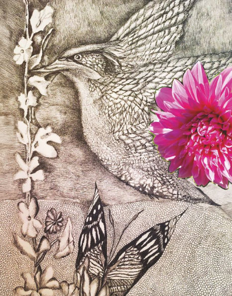 Hummingbird!