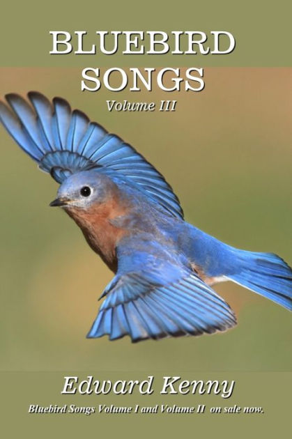 Bluebird Songs (Volume III) by Edward Kenny, Paperback | Barnes & Noble®