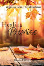 Healing Promise: The Monahans Book 1