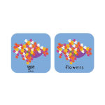 Alternative view 6 of Minilingo Hindi / English Bilingual Flashcards: Bilingual memory game with Hindi & English cards