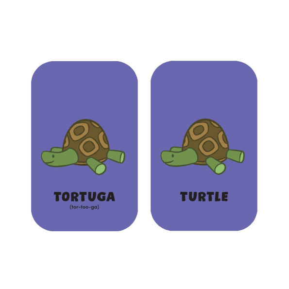 Rosie's Rules: Minilingo Spanish/English Flashcards - Basic Words with Rosie