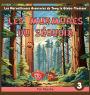 Les murmures du sï¿½quoia