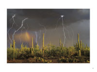 Alternative view 4 of 100 Greatest Photographs to Ever Appear in Arizona Highways Magazine