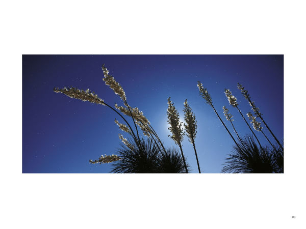 100 Greatest Photographs to Ever Appear in Arizona Highways Magazine