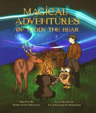 Title: Magical Adventures of Teddy the Bear, Author: Robin Scott Bicknell