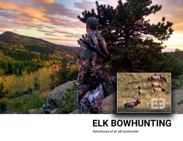 Elk Bowhunting: Adventures of an elk bowhunter