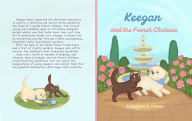 Title: Keegan and the French Chateau, Author: Keegan's Mom
