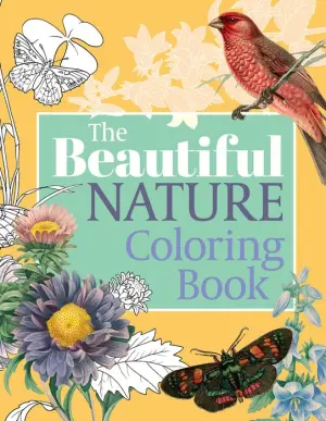 Best Coloring Books for Adults, Kids & Teens