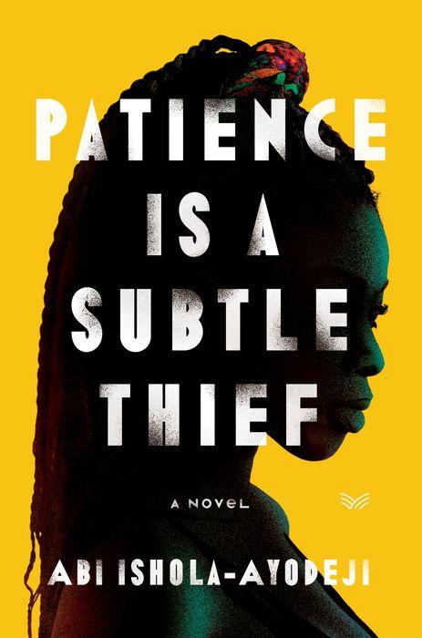 Patience Is a Subtle Thief: A Novel