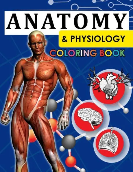 Anatomy & Physiology Coloring Book: 2nd Edtion|Paperback