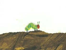 The Very Hungry Caterpillar