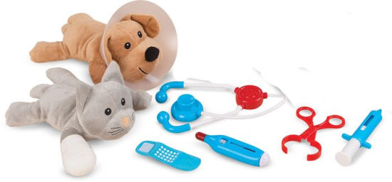 examine and treat pet vet playset