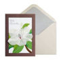 Sympathy Card Vellum Flower With Sympathy