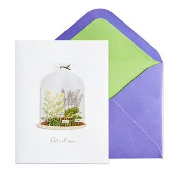 Get Well Card Plants In Cloche