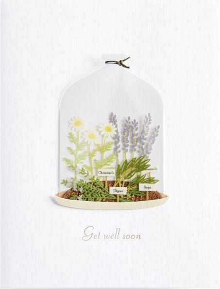 Get Well Card Plants In Cloche