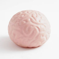 Title: Giant Brain Stress Ball