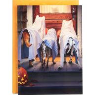 Title: HALLO Ghost Dogs at Cat's Door