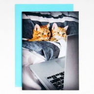 Title: Two Cats in Bed Greeting Card