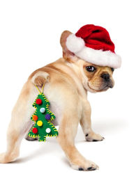 Title: Christmas Boxed Cards Dog Ornament Butt