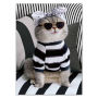 Cat in Stripes Birthday Card