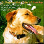 A Day in the Life of Lucky: Classical Music for You and Your Dog