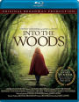 INTO THE WOODS: STEPHEN (BR DTS