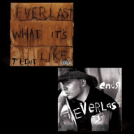 Title: What It's Like/Ends, Artist: Everlast
