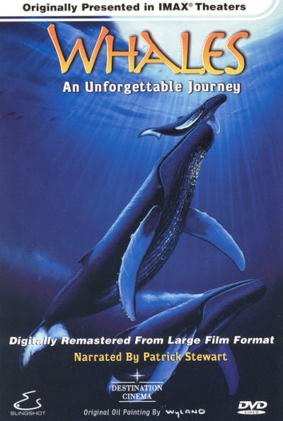 Whales: An Unforgettable Journey by David Clark, Al Giddings, Roger ...