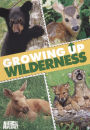 Growing Up Wilderness