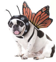 Title: California Costumes ap-cost-butt-xsm x-SMALL- Animal Planet Butterfly Dog Costume