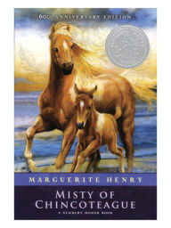 Title: Breyer Misty & Stormy Model and Book Set