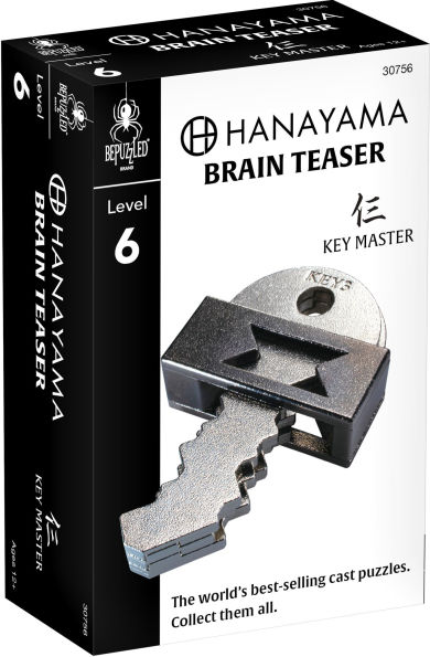 Key 3 Hanayama Puzzle - Level 6