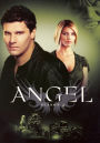 Angel: The Complete Fourth Season [6 Discs]