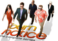 Title: Burn Notice: The Complete Series Giftset