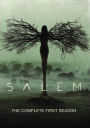 Salem: The Complete First Season [3 Discs]