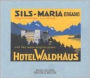 Winter and Winter Artists: Hotel Waldhaus Sils-Maria