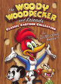 Woody Woodpecker and Friends Classic Cartoon Collection