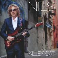 Alley Cat