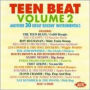 Teen Beat, Vol. 2