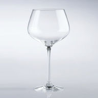 Title: Fusion Infinity Pinot Noir Wine Glasses - Set of 4